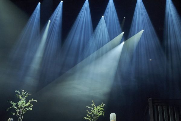 Ein Sommernachtstraum